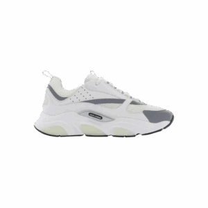 Dior B22  White Grey