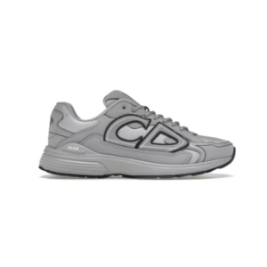 Dior B30 Gray