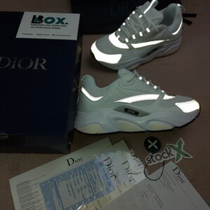 Dior B22 'White Grey